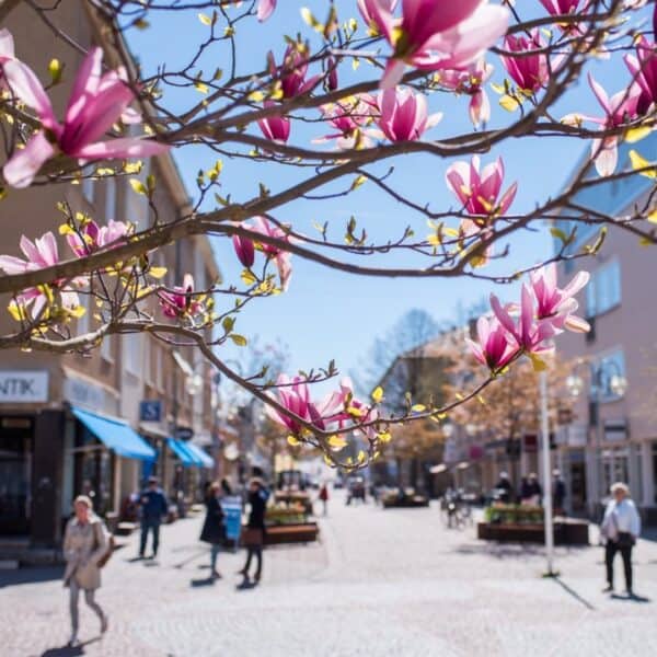 Mariehamn ร
land Mariehamn ร
land