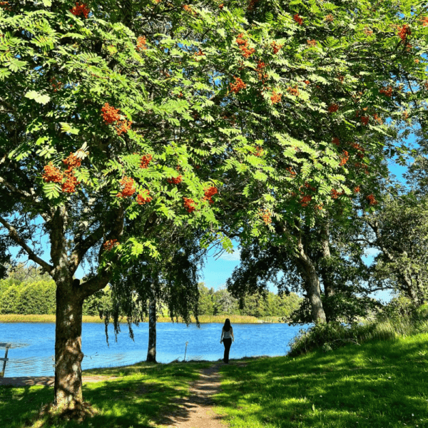 Åland Retreat Åland Retreat